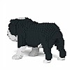 English Bulldog Jekca (Black) Back